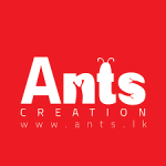 Ants Creation