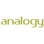 Analogy Partners